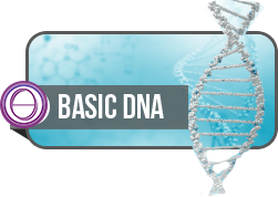 ThetaHealing® BASIC DNA Uygulayıcı Semineri
